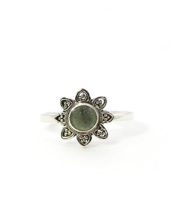 Ring Sonne