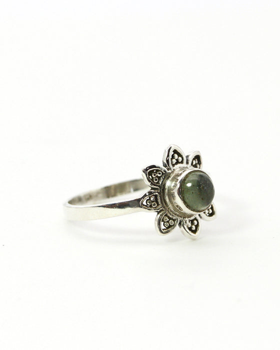 Ring Sonne
